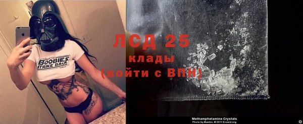 прущие грибы Баксан