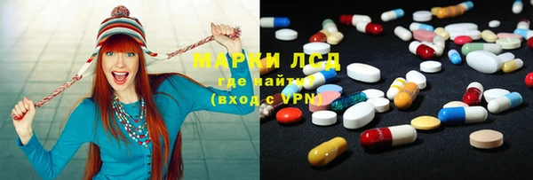 прущие грибы Баксан