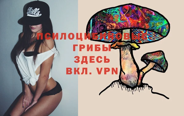прущие грибы Баксан