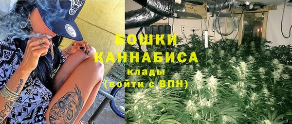 прущие грибы Баксан