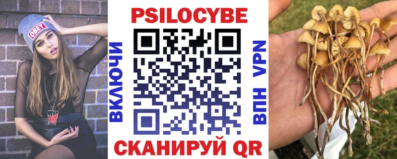 Псилоцибиновые грибы Cubensis  купить наркотики сайты  Озёры 