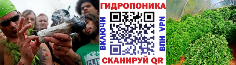 дарнет шоп  Озёры  Каннабис тримм 